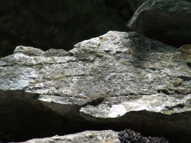 dscf0242