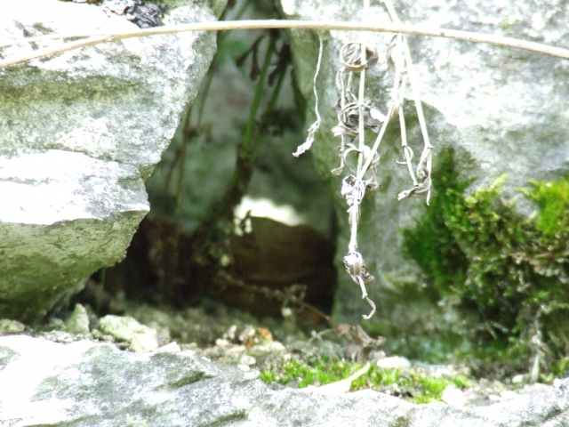 dscf0243