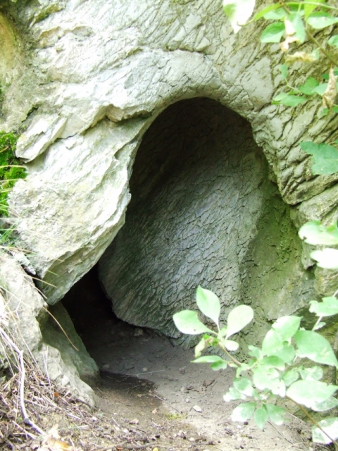 dscf0245