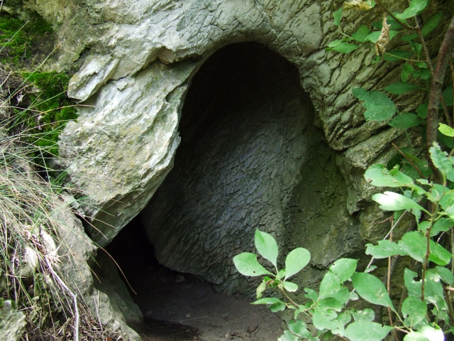 dscf0246