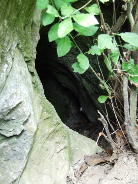 dscf0248