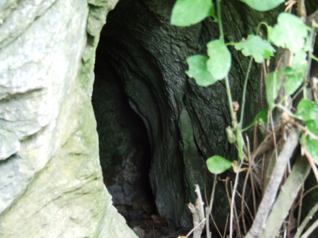 dscf0249