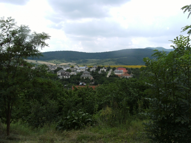 dscf1502