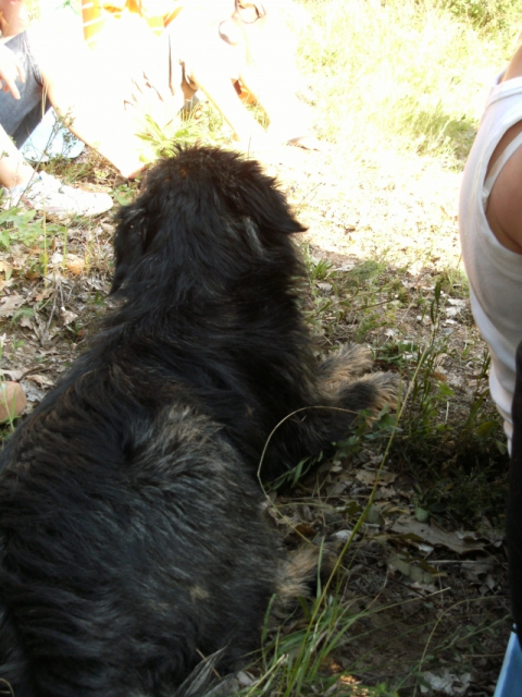 dscf1531