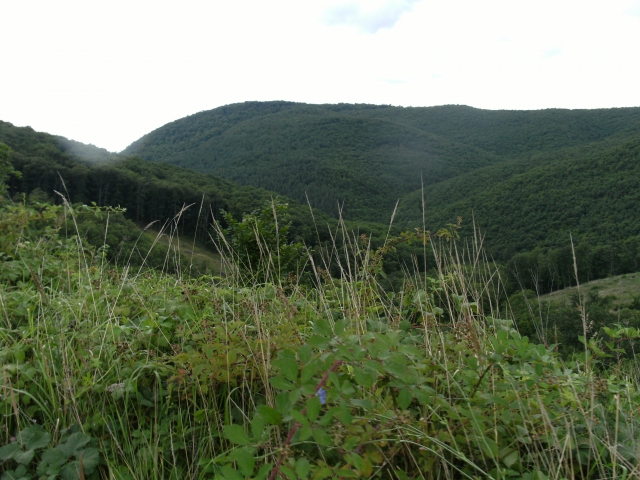 dscf1582