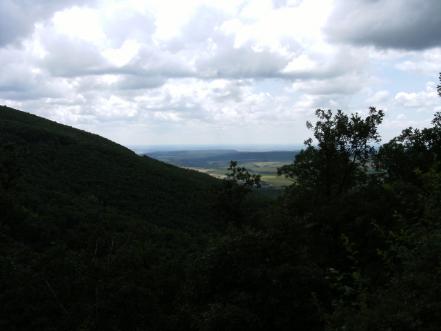 dscf1588