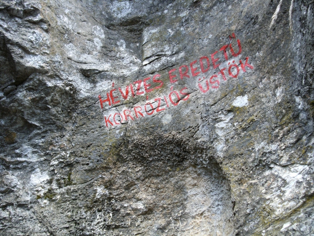 dscf1614