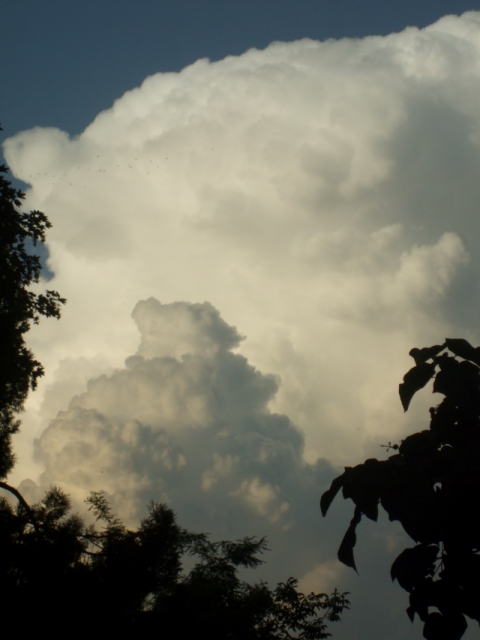 dscf2068