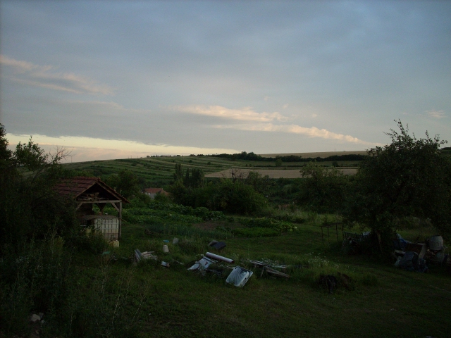 dscn1074