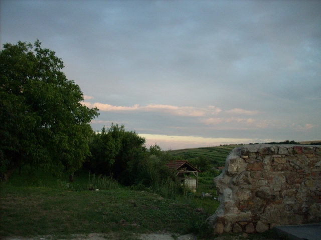 dscn1081