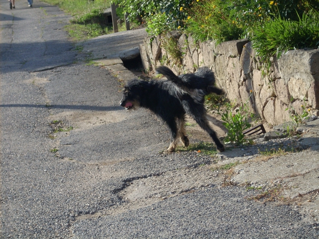 dscn1153