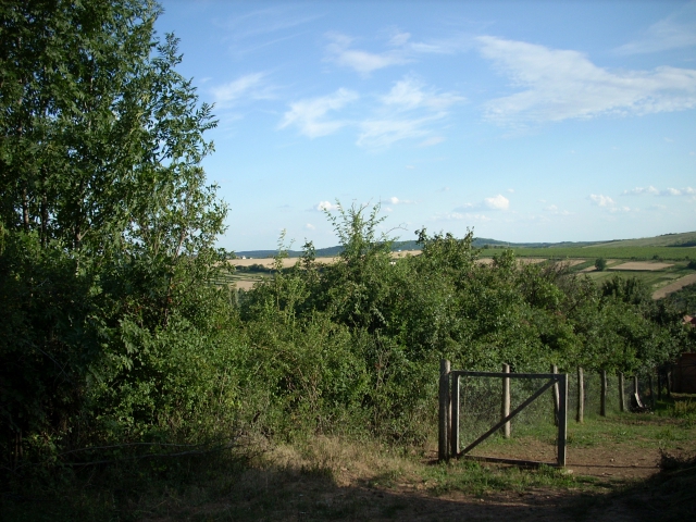 dscn1164