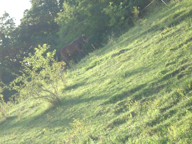 dscn1167