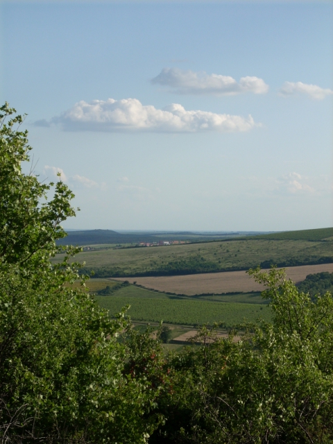 dscn1176