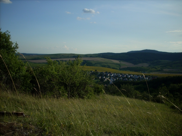 dscn1191