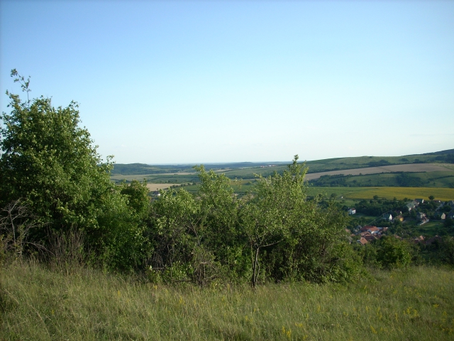 dscn1193