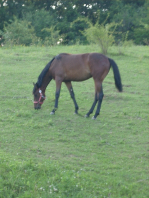 dscn1204