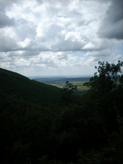 dscn1210