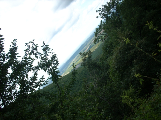 dscn1213