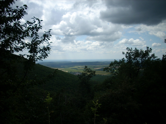 dscn1214