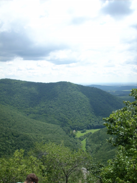 dscn1225