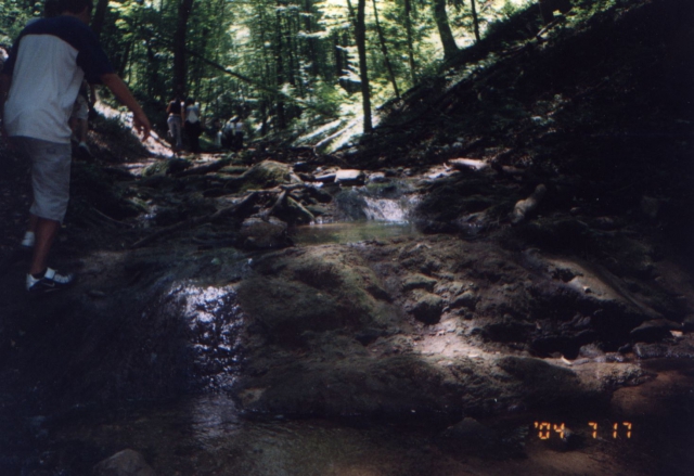 img001