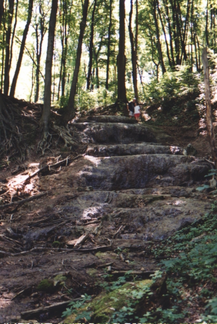img028