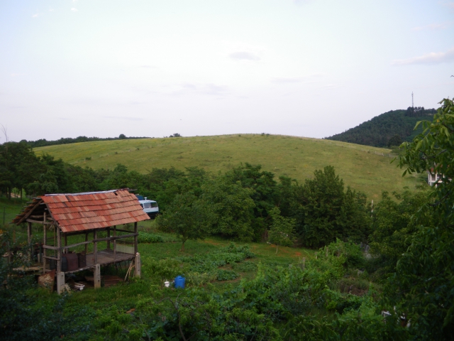 imgp0446