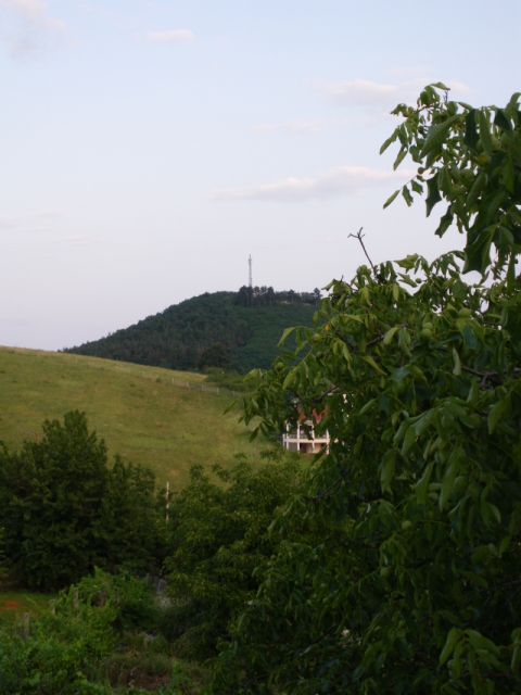 imgp0447