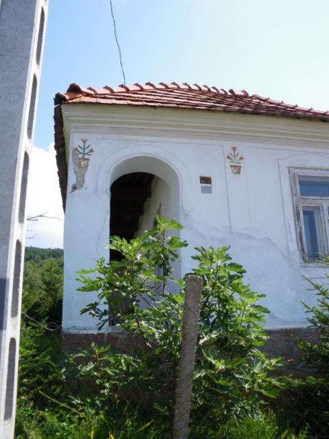 imgp0471