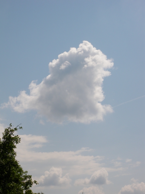 imgp0479