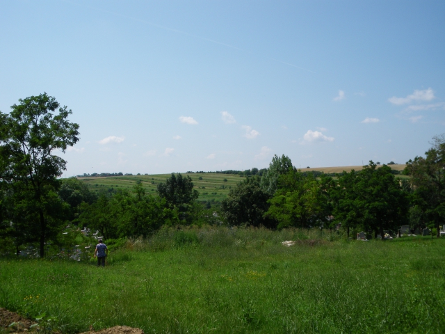 imgp0480