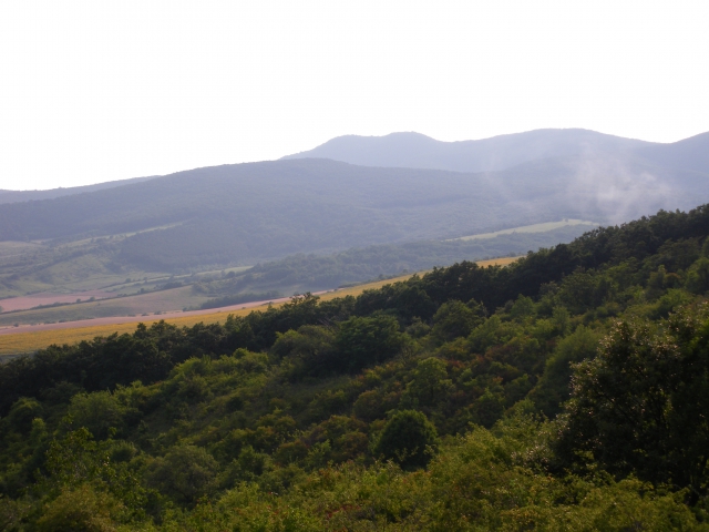 imgp0538