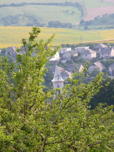 imgp0539