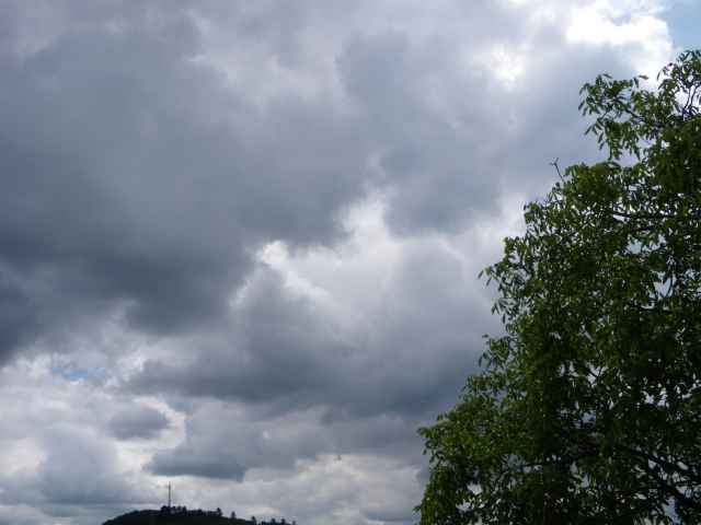 imgp0802