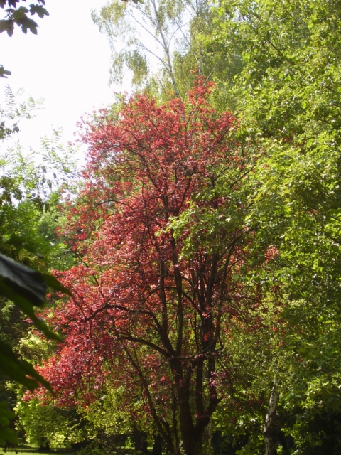 p1010276
