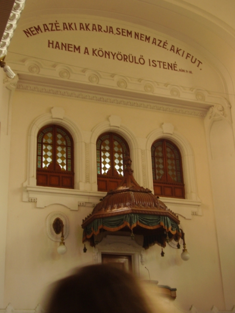 p1010294