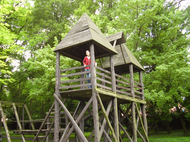 p7030012